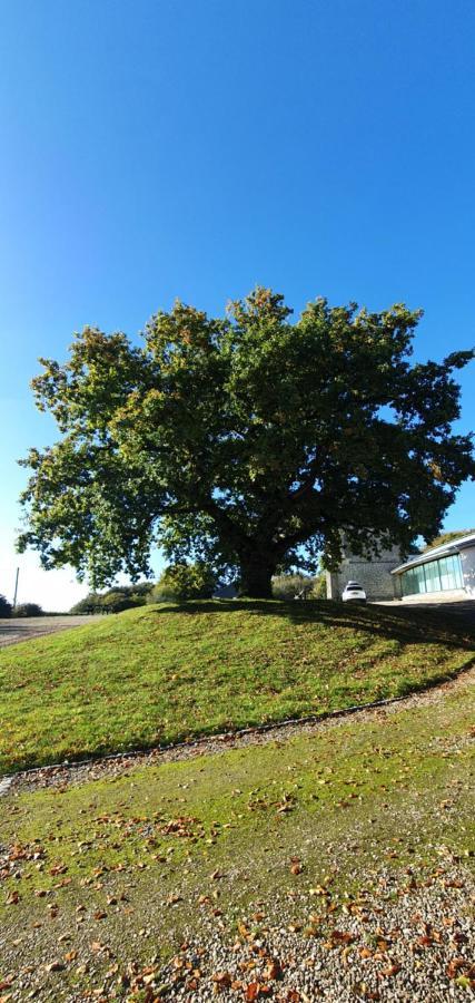 Kemeys Folly Villa Newport Kültér fotó